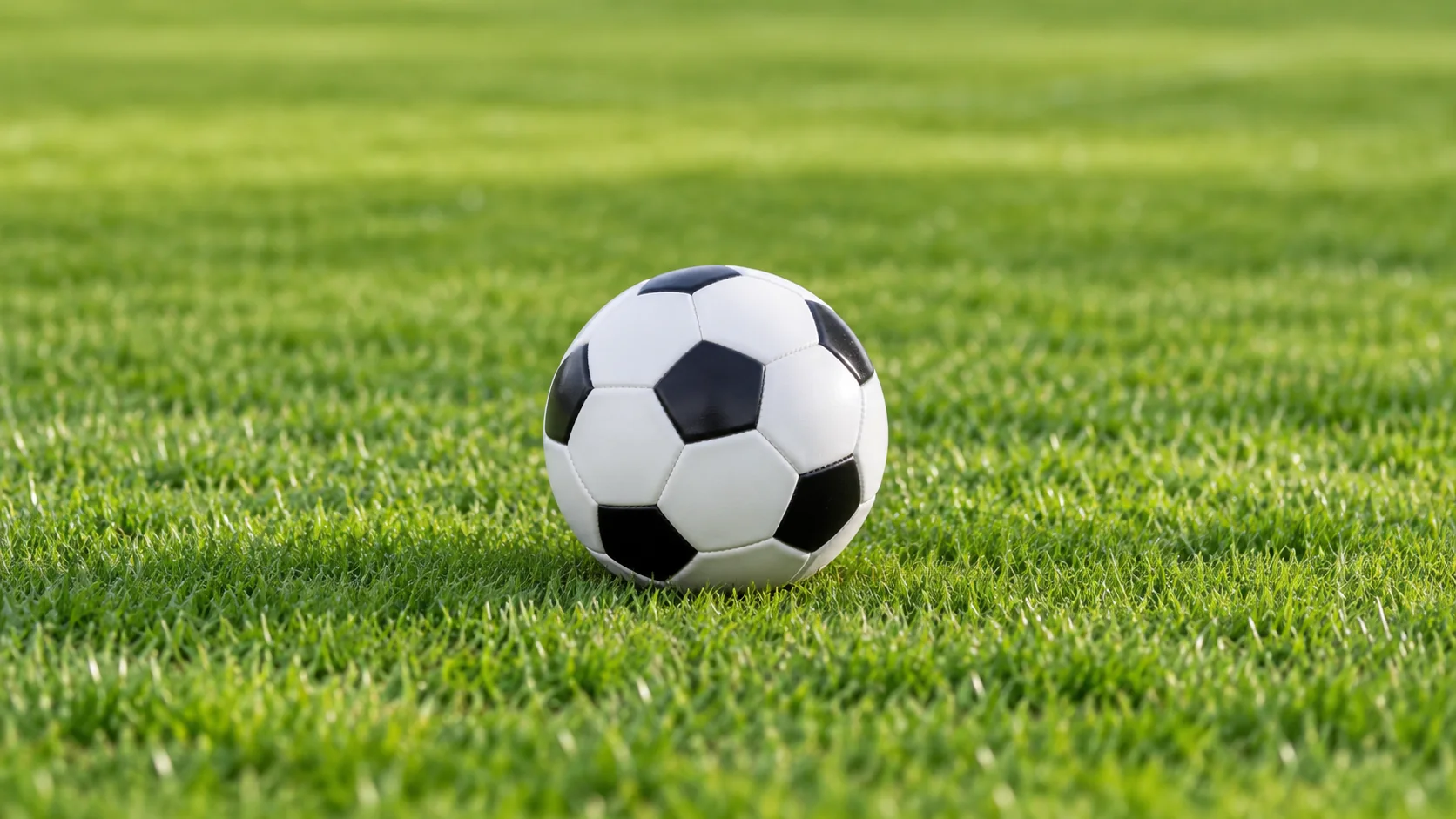 男篮对阵法国周鹏冲突事件引发热议球迷关注背后的故事与影响